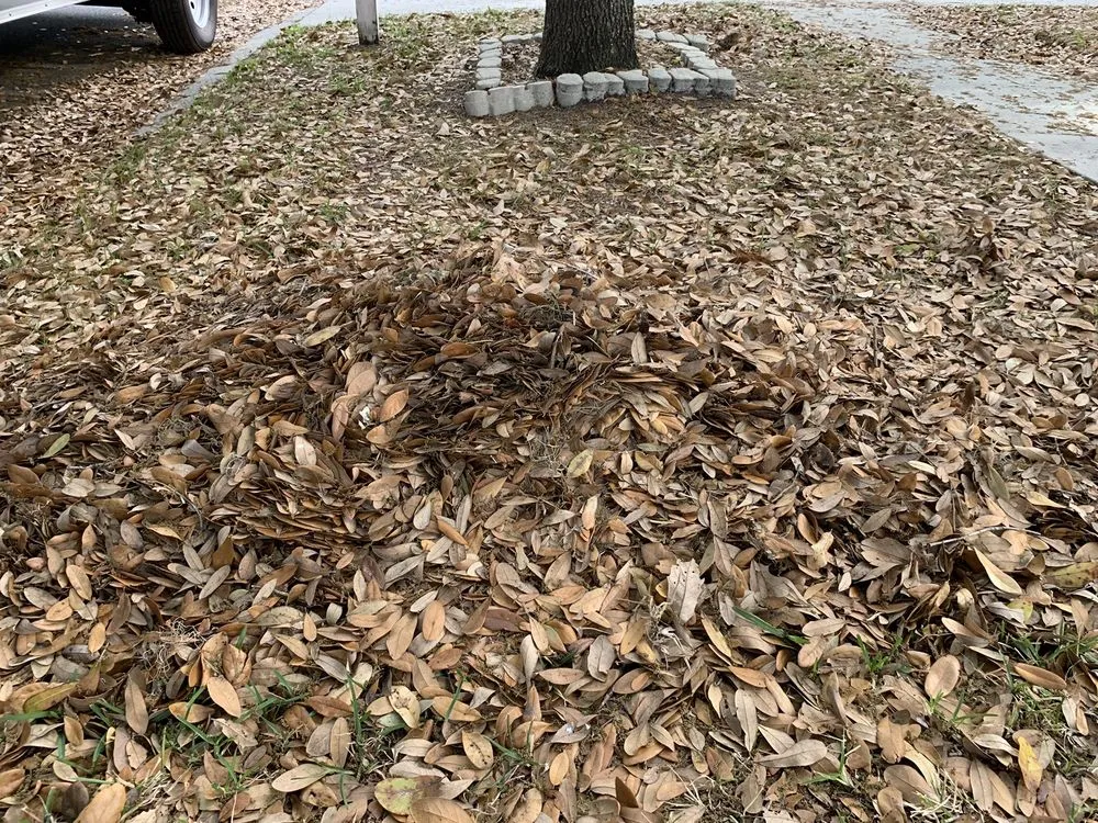 Reliable garden landscaping for outdoor upgrades across Apollo Beach, FL - Pirate’s Cove Lawn Maintenance