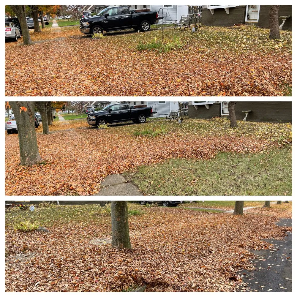 Affordable lawn care service experts serving Trenton, NJ - Pires Unlimited