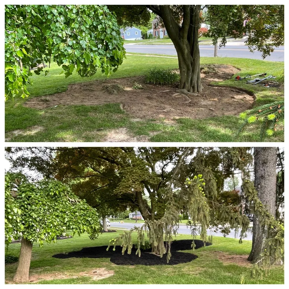 Trusted landscaping services for year-round maintenance in Trenton, NJ by Pires Unlimited