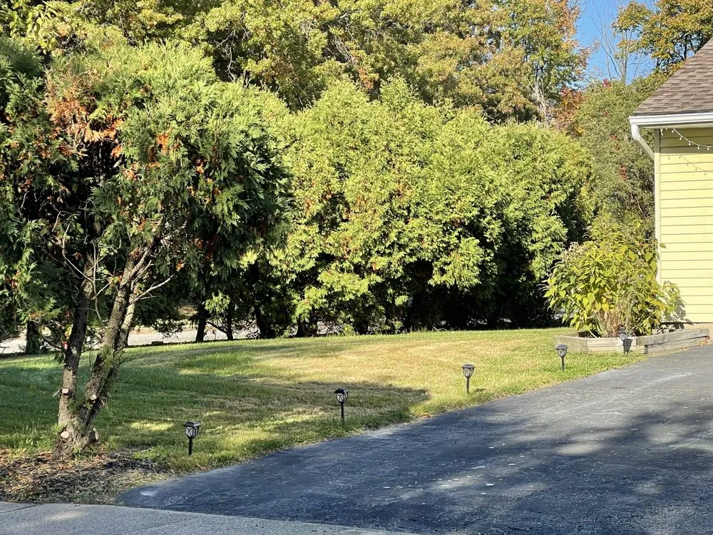 Local yard maintenance for outdoor upgrades in Trenton, NJ by Pires Unlimited