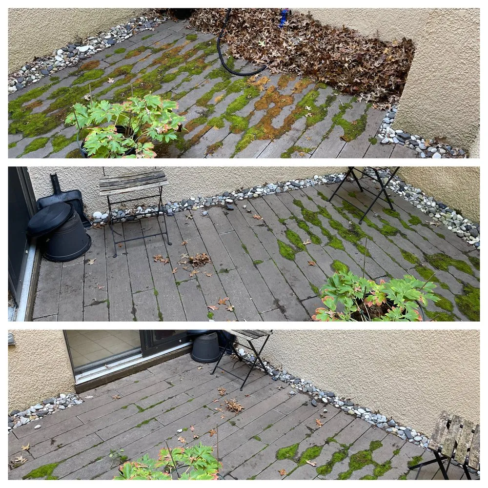 Local garden landscaping for year-round maintenance across Trenton, NJ - Pires Unlimited