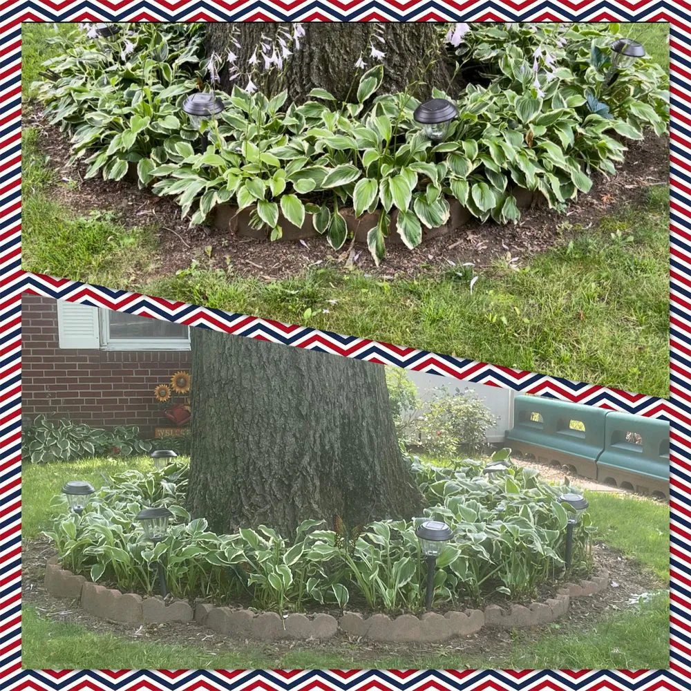 Top-rated lawn care service in Trenton, NJ - Pires Unlimited