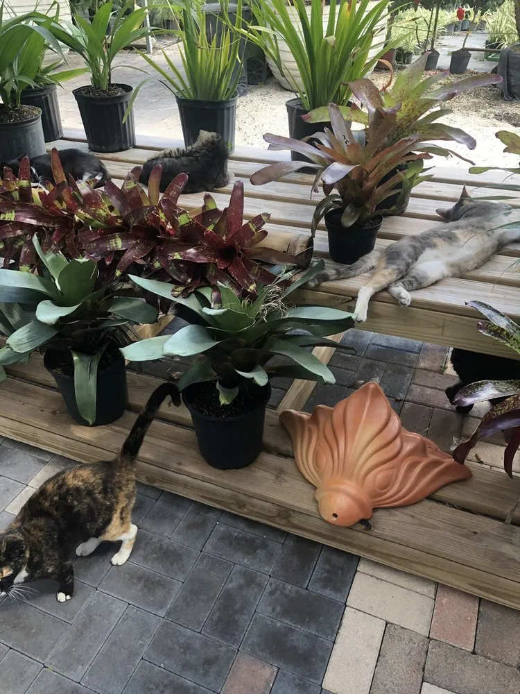 Reliable residential landscaping in Hialeah, FL by Piri Nursery and Landscaping