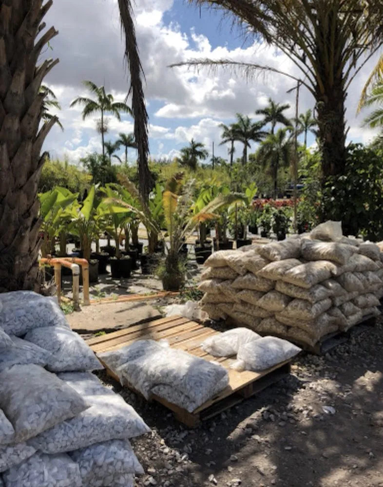 Custom landscape design in Hialeah, FL - Piri Nursery and Landscaping