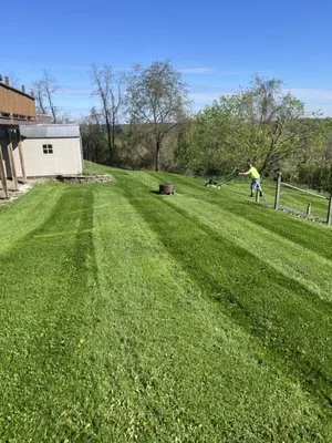 Pirstine Lawncare Logo