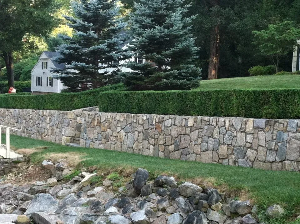 Professional yard cleanup service in Morristown, NJ by Pisani Nature Designs