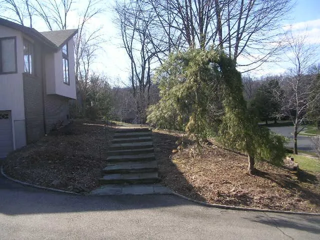 Professional yard cleanup service in Morristown, NJ by Pisani Nature Designs