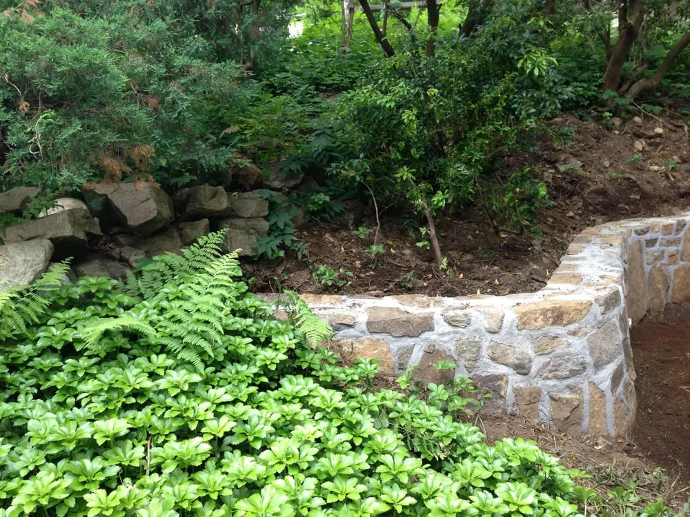 Reliable landscaping services in Morristown, NJ by Pisani Nature Designs