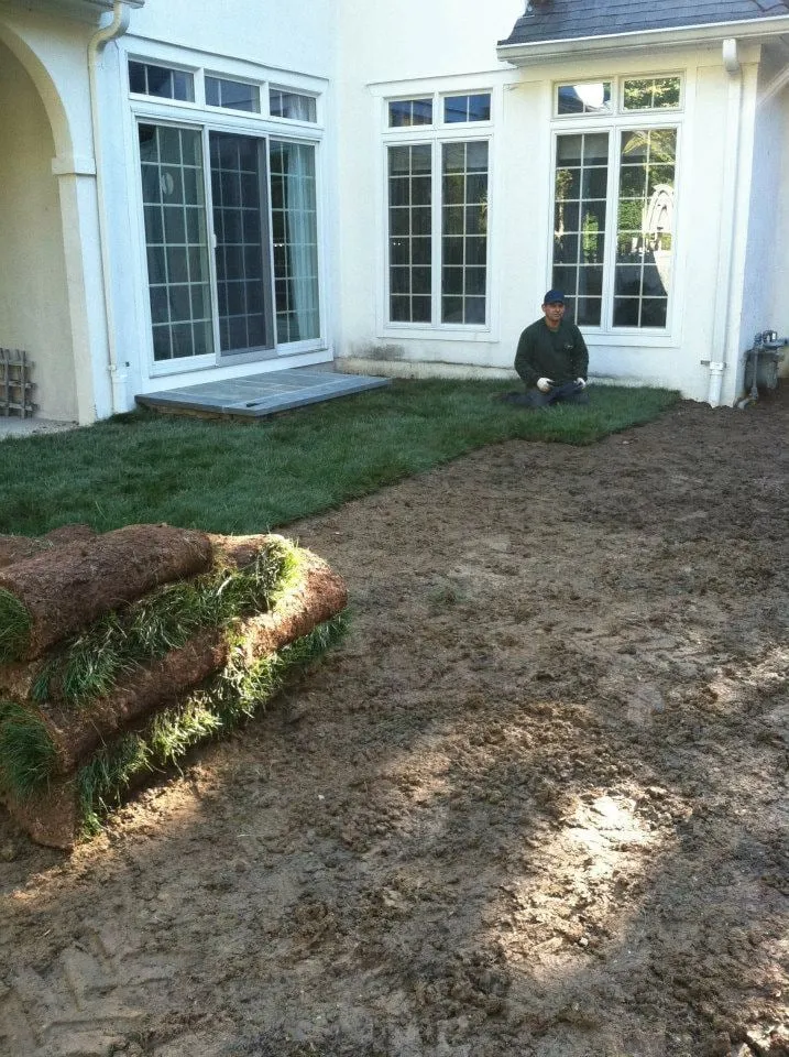 Expert garden landscaping for outdoor upgrades in Morristown, NJ by Pisani Nature Designs