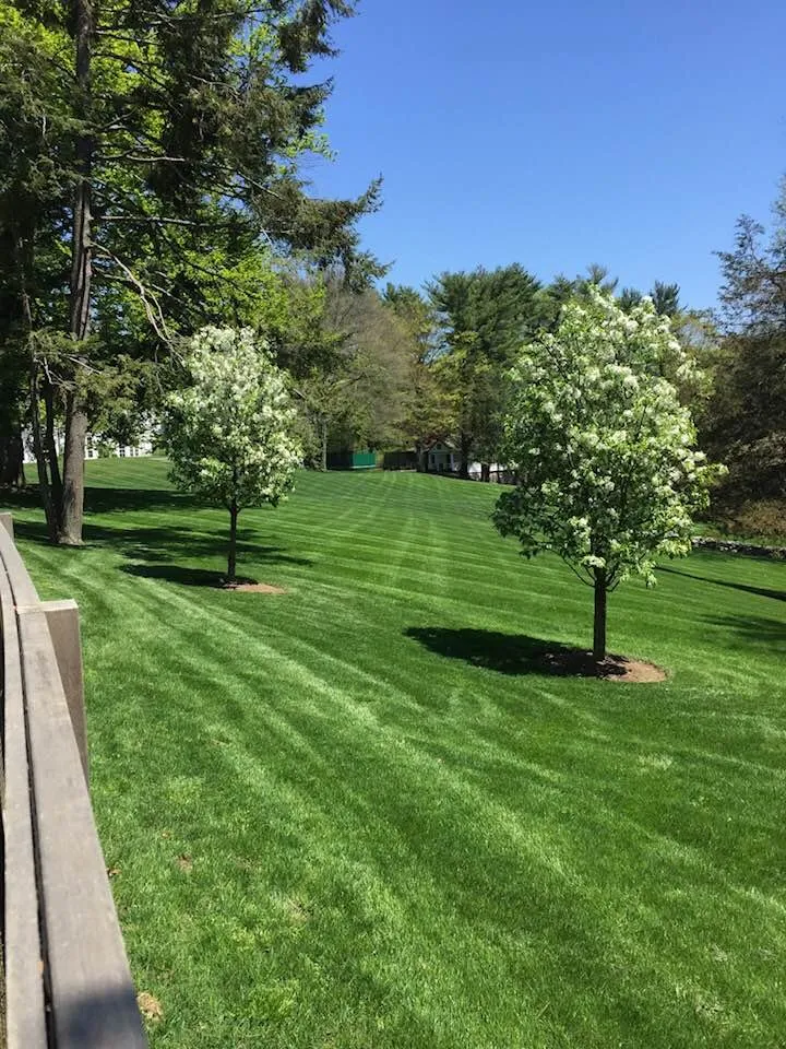Affordable lawn care service experts serving Greenwich, CT - Pisano Landscaping