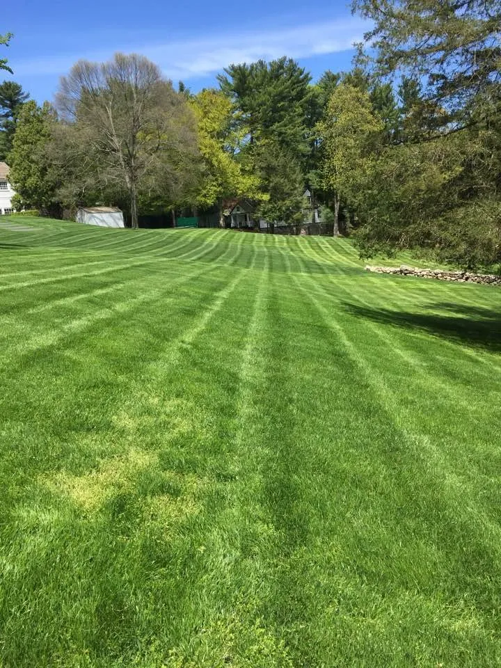 Trusted landscaping services near you in Greenwich, CT by Pisano Landscaping
