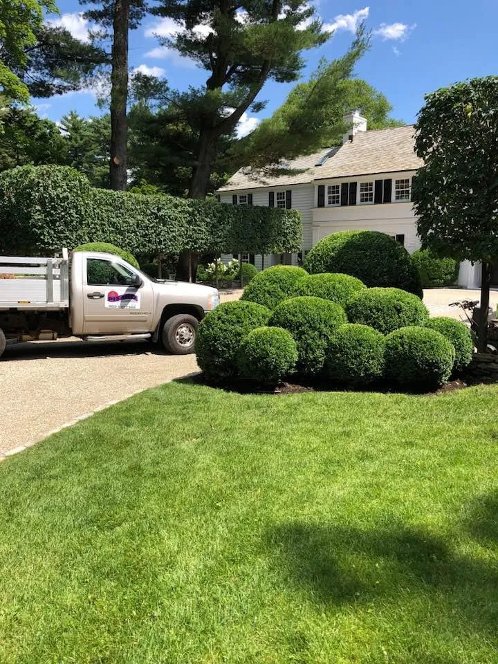 Professional landscape design in Greenwich, CT - Pisano Landscaping