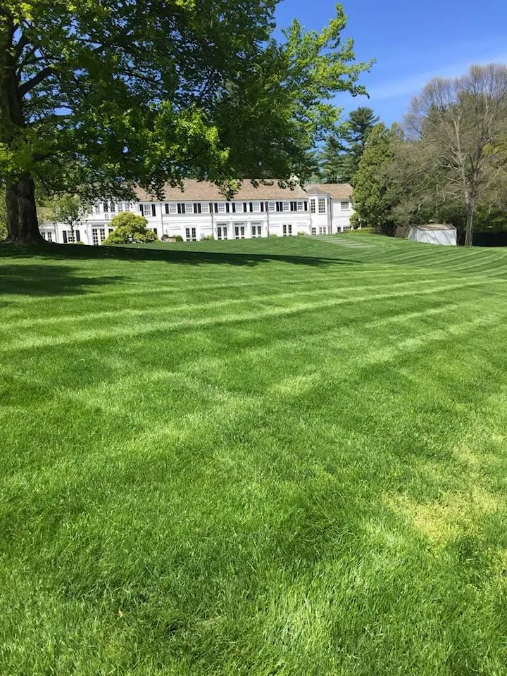 Local residential landscaping experts serving Greenwich, CT - Pisano Landscaping