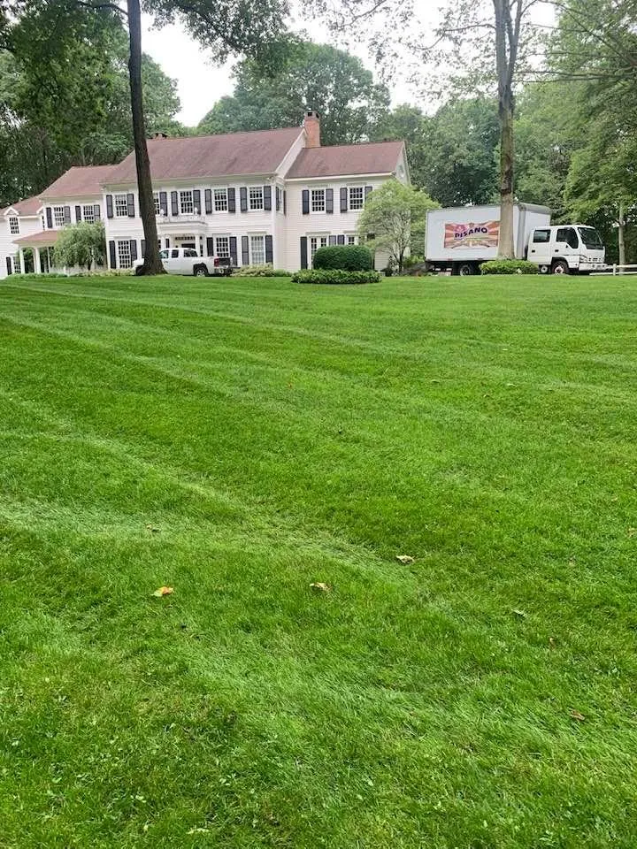Expert yard maintenance in Greenwich, CT by Pisano Landscaping