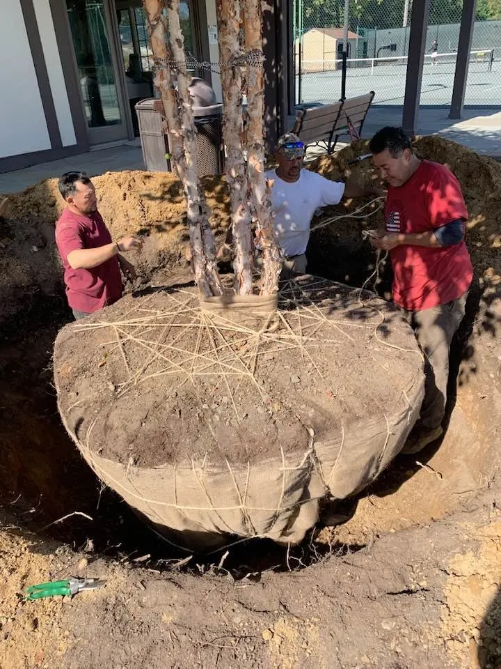 Top-rated garden landscaping in Greenwich, CT by Pisano Landscaping