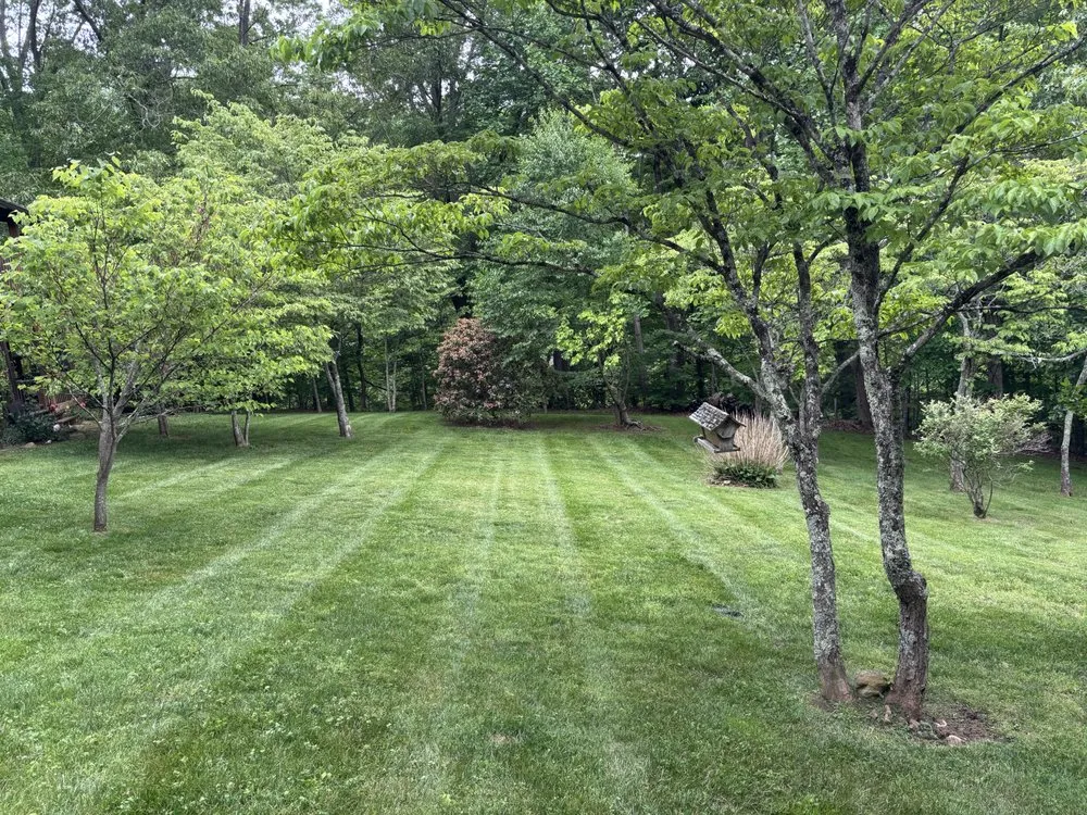 Expert lawn care service for homes across Clyde, NC - Pisgah Property Services