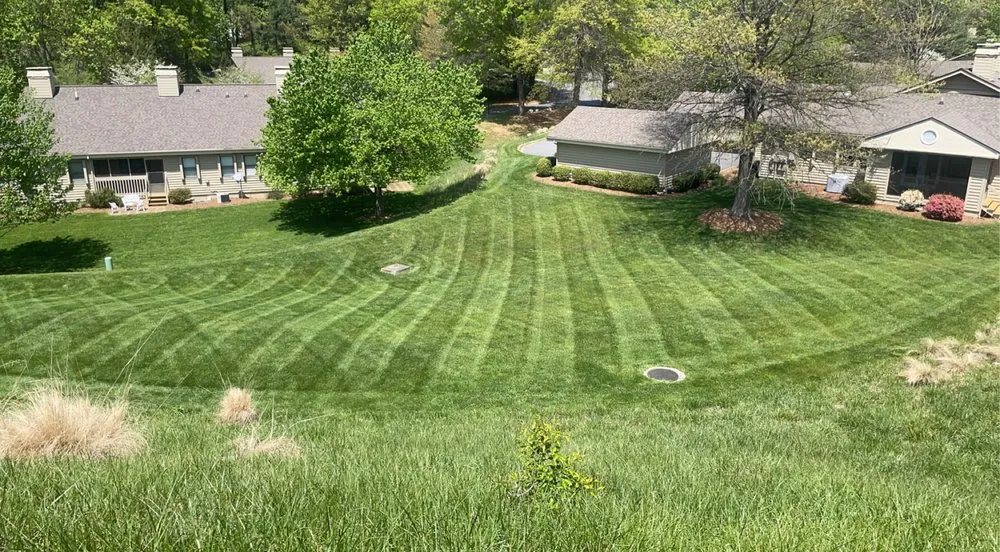 Trusted landscaping services experts serving Clyde, NC - Pisgah Property Services