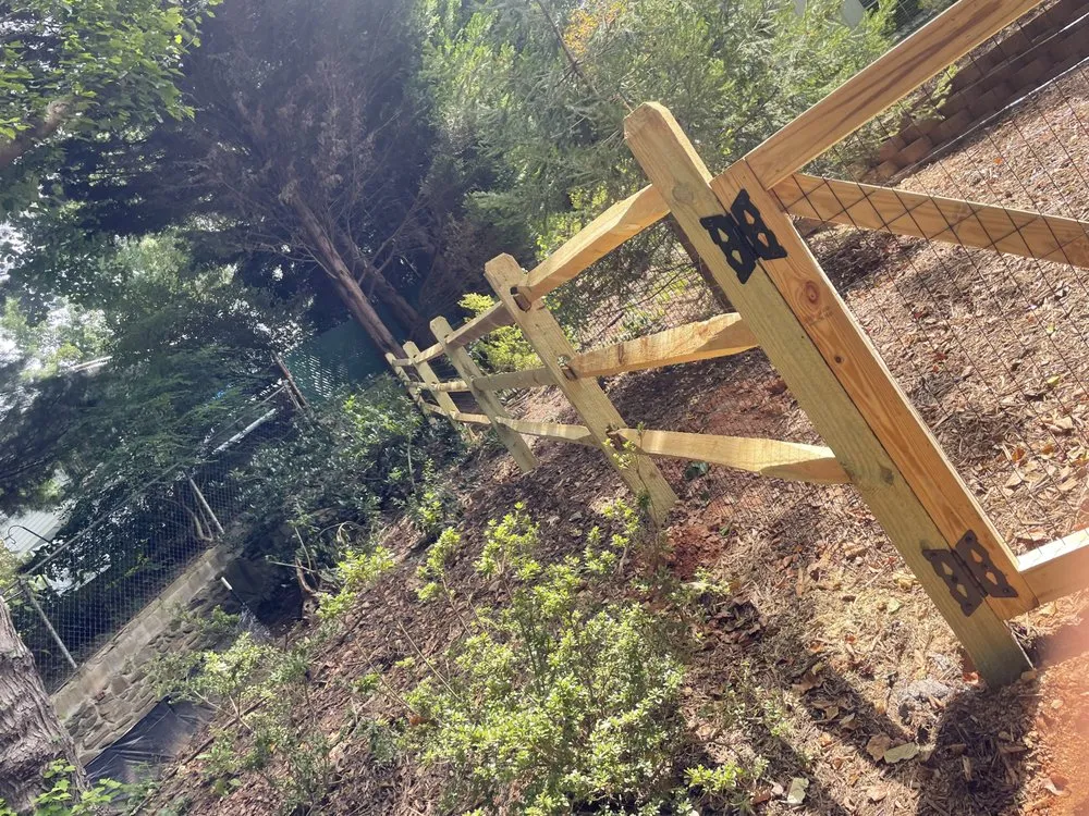 Affordable lawn mowing service for year-round maintenance across Clyde, NC - Pisgah Property Services