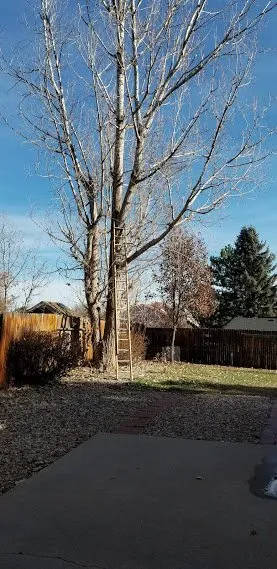 Reliable outdoor landscaping with custom design in Denver, CO by Pit Bull Tree & Landscaping Services