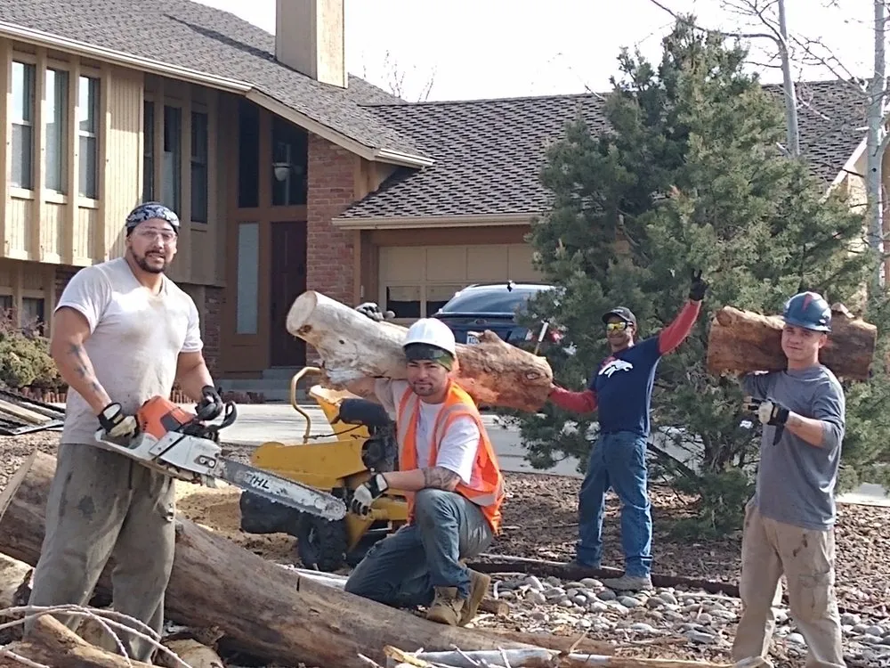 Custom outdoor landscaping experts serving Denver, CO - Pit Bull Tree & Landscaping Services