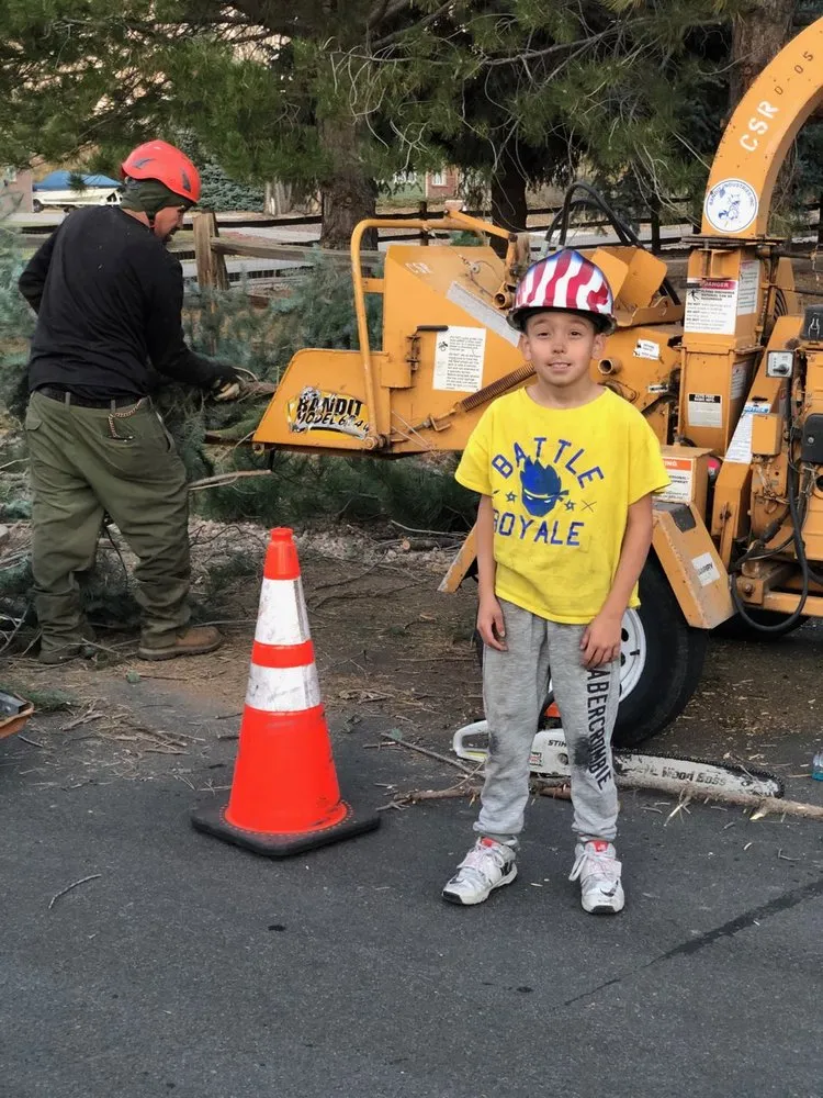 Custom landscape installation experts serving Denver, CO - Pit Bull Tree & Landscaping Services