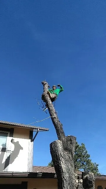 Reliable outdoor landscaping in Denver, CO by Pit Bull Tree & Landscaping Services