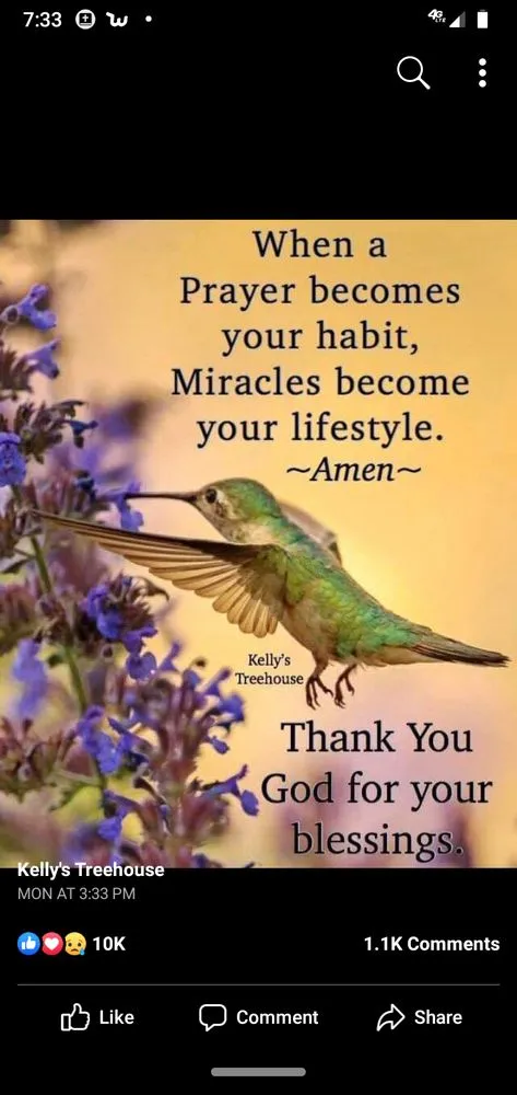 Top-rated landscaping services with custom design across Denver, CO - Pit Bull Tree & Landscaping Services