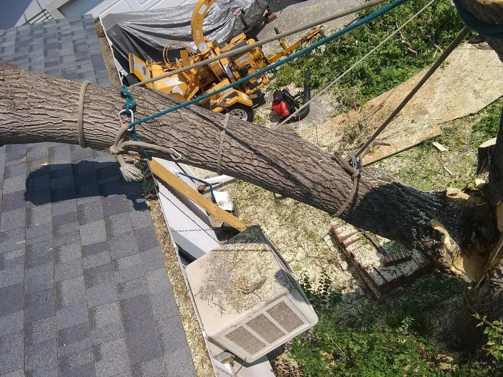 Reliable lawn mowing service for beautiful yards in Denver, CO by Pit Bull Tree & Landscaping Services