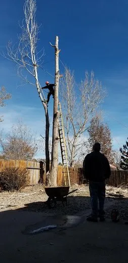 Trusted lawn mowing service with custom design in Denver, CO by Pit Bull Tree & Landscaping Services