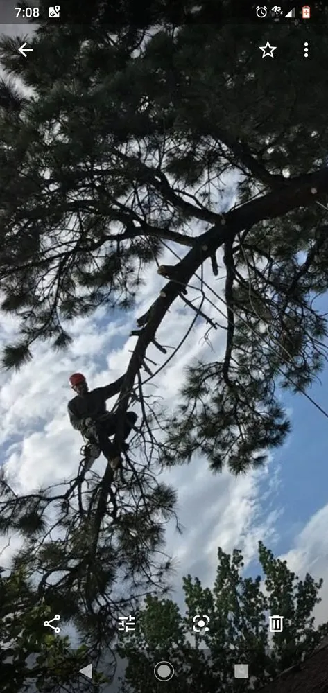 Top-rated outdoor landscaping for beautiful yards in Denver, CO by Pit Bull Tree & Landscaping Services