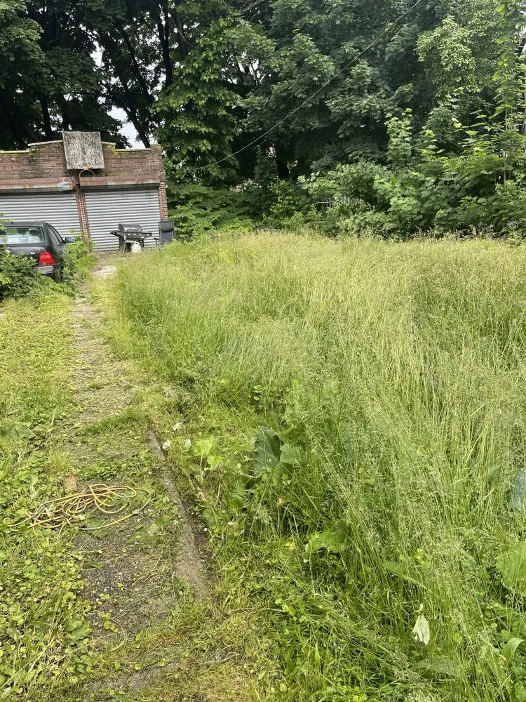 Top-rated landscaping services for year-round maintenance across Staten Island, NY - PIT Home Improvement