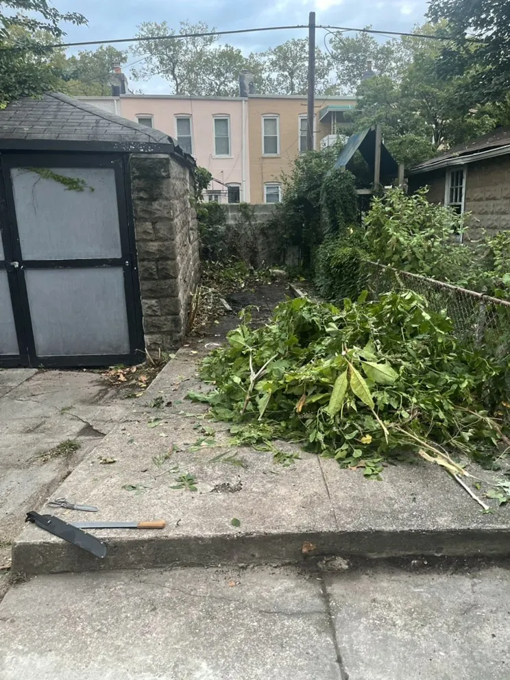 Custom lawn care service in Staten Island, NY - PIT Home Improvement