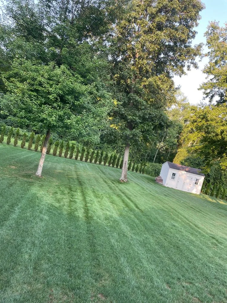 Reliable landscaping services near you in North Haven, CT by Pitch Pines Landscaping