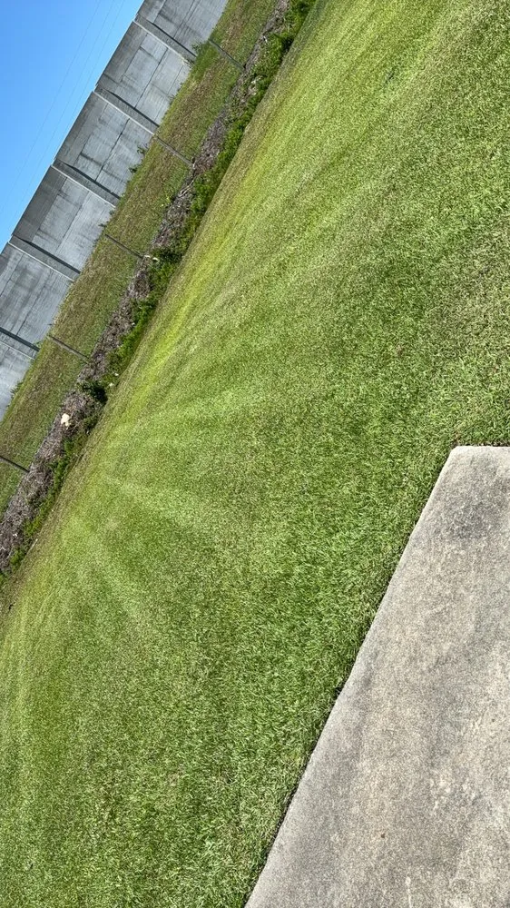 Local outdoor landscaping for year-round maintenance in Beaufort, NC by Pitcher Perfect Landscaping