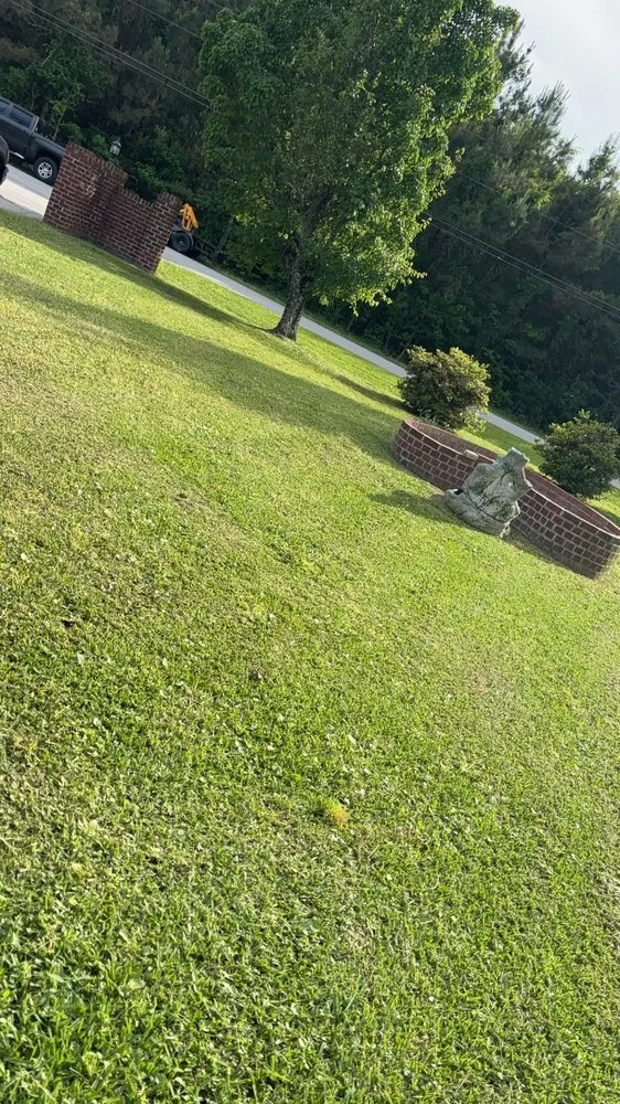 Local landscape design in Beaufort, NC - Pitcher Perfect Landscaping