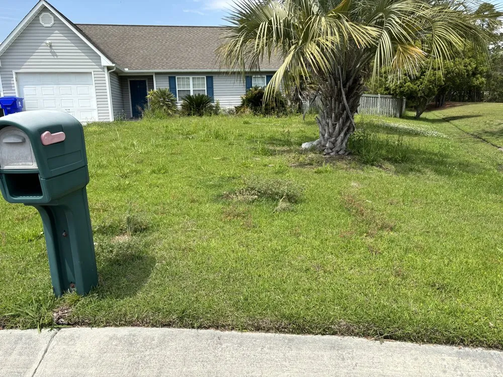 Custom landscape design near you across Beaufort, NC - Pitcher Perfect Landscaping