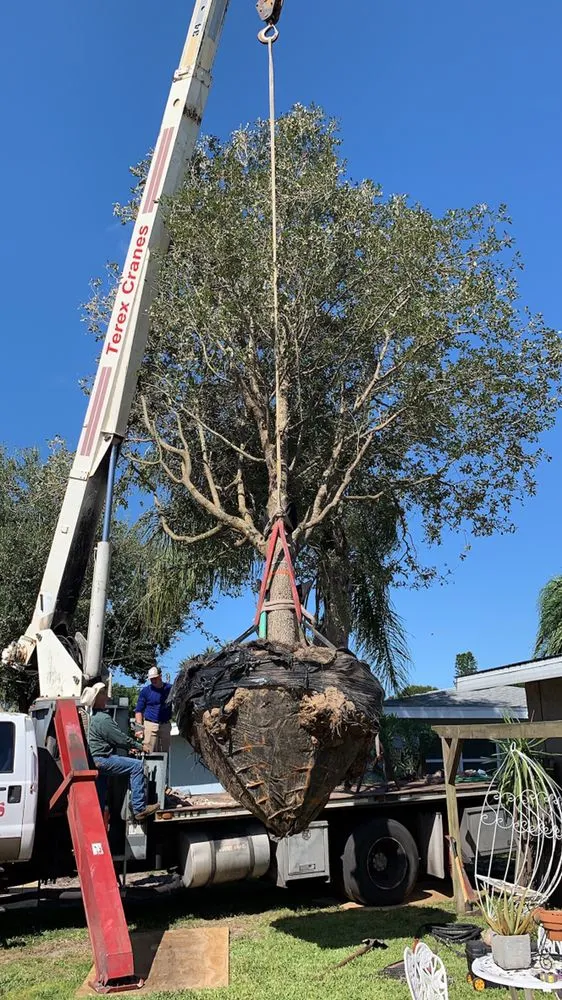 Expert yard maintenance experts serving Clearwater, FL - Pitchford Design and Landscape