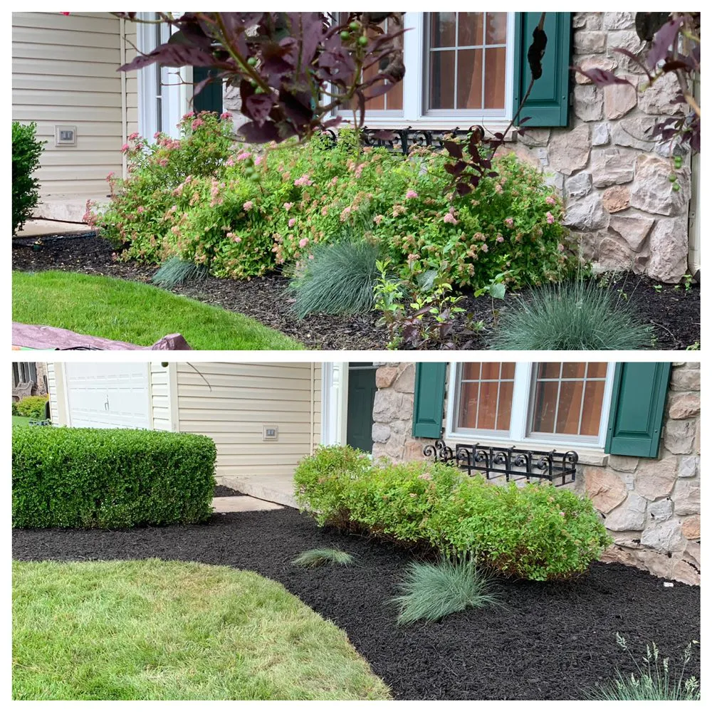 Expert lawn care service near you in Collegeville, PA by Pitchfork Landscaping