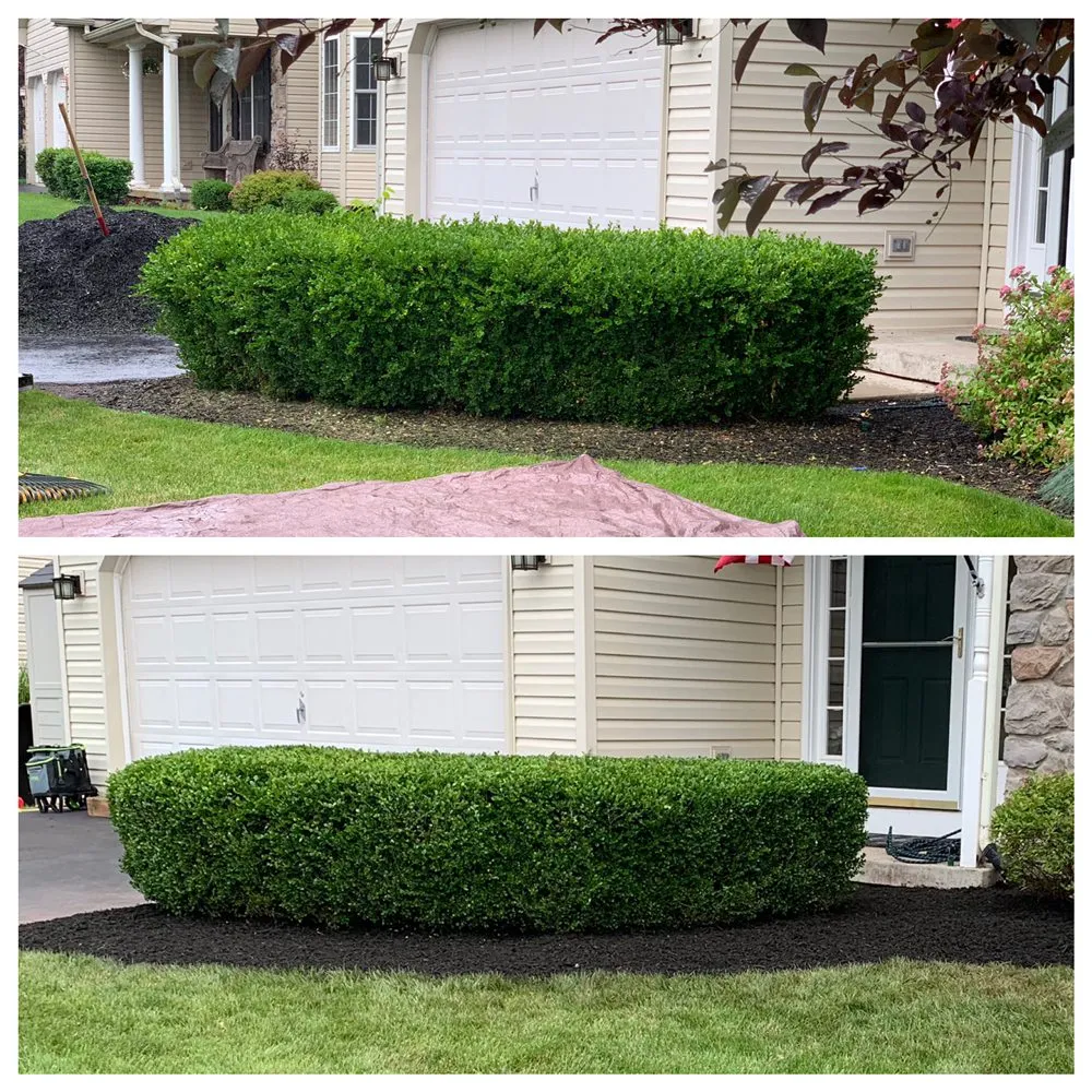 Affordable yard cleanup service in Collegeville, PA - Pitchfork Landscaping