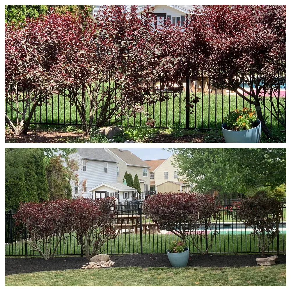 Expert landscaping services in Collegeville, PA by Pitchfork Landscaping