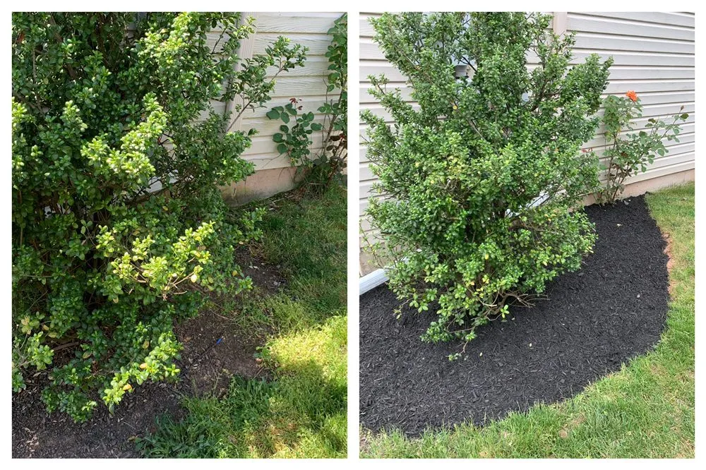 Professional yard cleanup service in Collegeville, PA by Pitchfork Landscaping