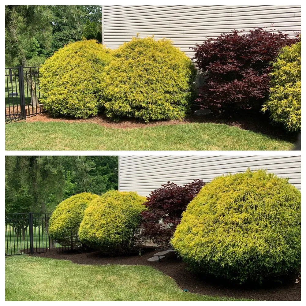Trusted residential landscaping in Collegeville, PA - Pitchfork Landscaping