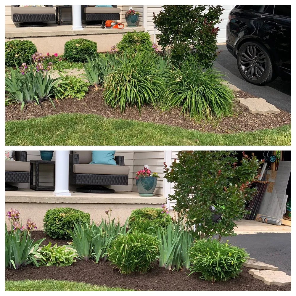 Top-rated yard cleanup service in Collegeville, PA by Pitchfork Landscaping