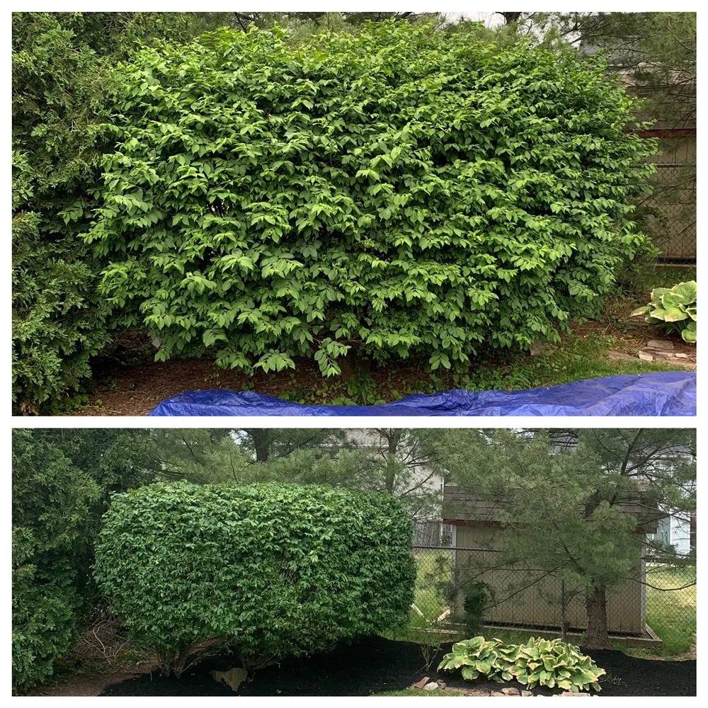 Expert garden landscaping in Collegeville, PA - Pitchfork Landscaping