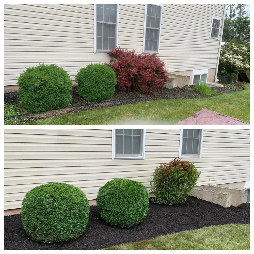 Top-rated yard maintenance in Collegeville, PA by Pitchfork Landscaping