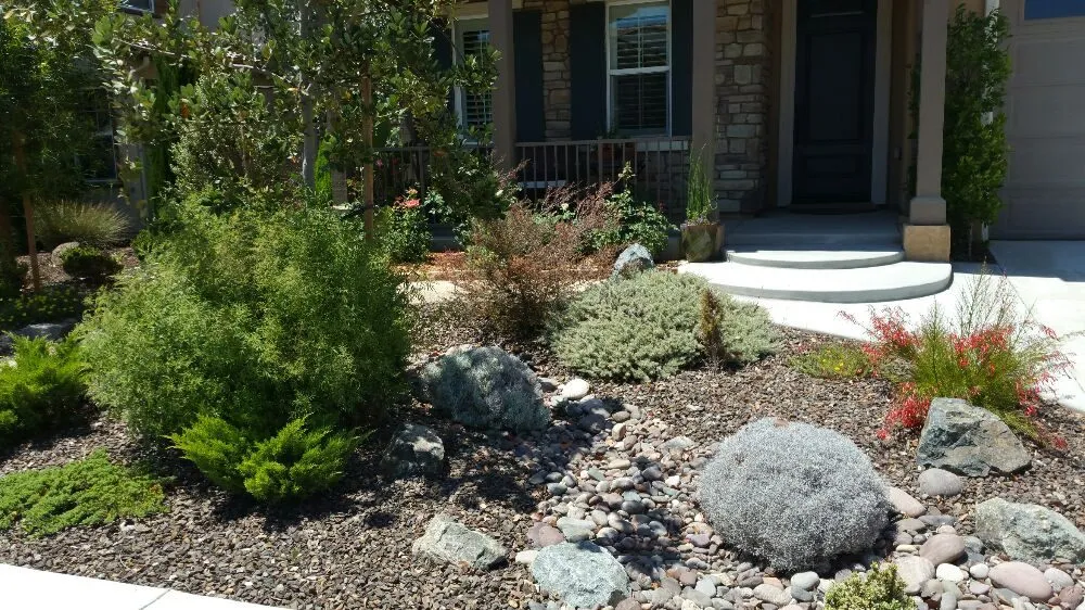 Reliable yard maintenance experts serving Anza, CA - Pitkin Landscape & Design