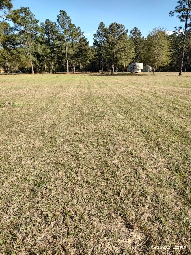 Local lawn mowing service in Pitkin, LA - Pitkin Total IT and Home Care