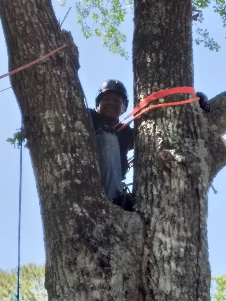 Custom lawn care service in Hubert, NC by Pitman Tree Service & Lawn Care