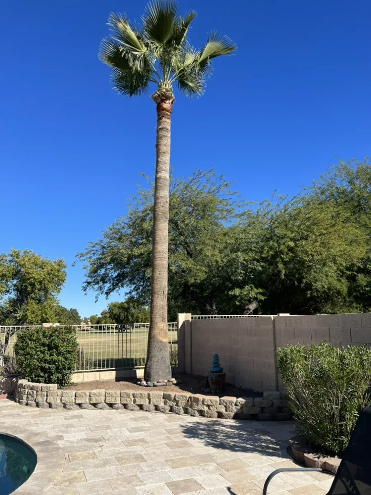 Expert landscape installation for homes across Chandler, AZ - Pit’s Scape
