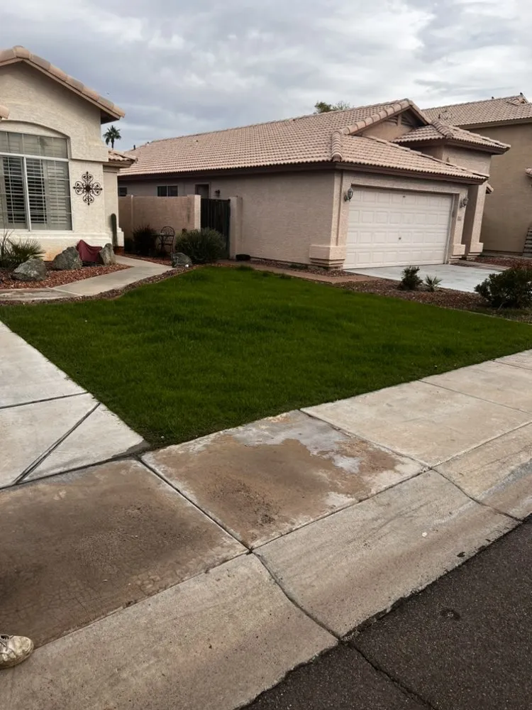 Top-rated yard maintenance in Chandler, AZ by Pit’s Scape